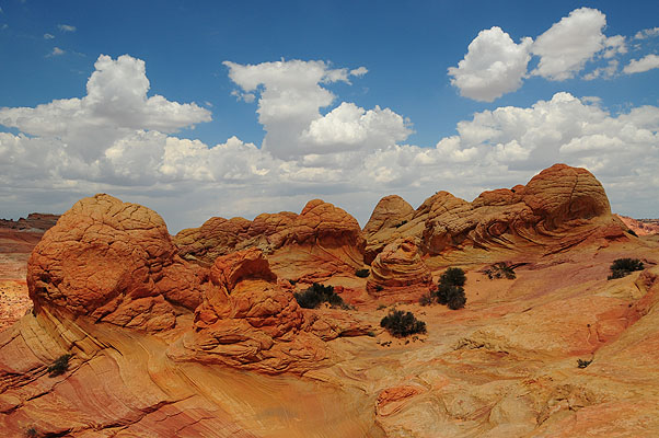 DSC_2907.jpg (4288x2848) NIKON D300 - 18-200mm f/3.5-5.6 // F9 // 1/320 sec // ISO 200 // 22,0 mm // no Flash // 2008:07:17 12:48:42 DSC_2907.jpg (4288x2848) NIKON D300 - 18-200mm f/3.5-5.6 // F9 // 1/320 sec // ISO 200 // 22,0 mm // no Flash // 2008:07:17 12:48:42